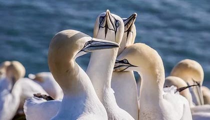 男子爬上泰山“五岳独尊”石刻拍照，景区：将核查其身份进行处理