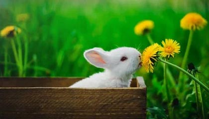 视频丨国际能源署署长：欧洲仅剩够用6周航空燃油