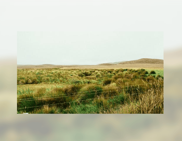 【知识科普】沪深300指数期权怎么交易？