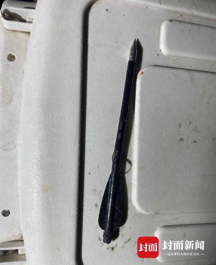 成都一流浪猫遭箭射穿身体，多人曾目睹有人射杀小动物，警方介入调查