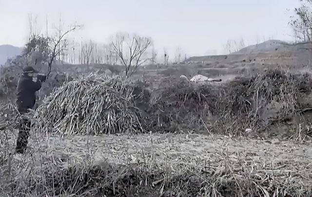 事发济南，当场击毙