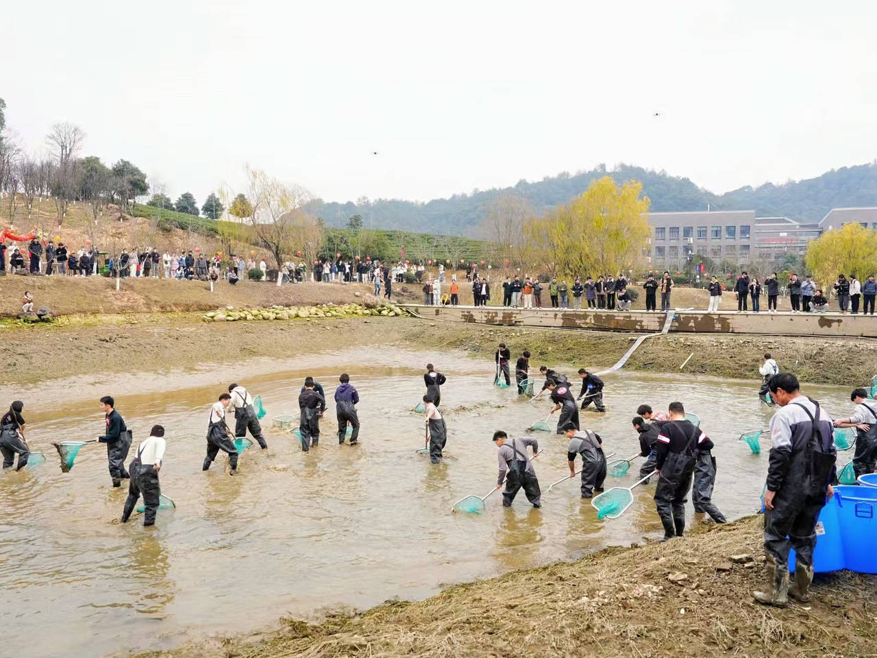 太治愈了！浙江高校师生今天集体“摸鱼”，现场还熬起大锅鱼汤