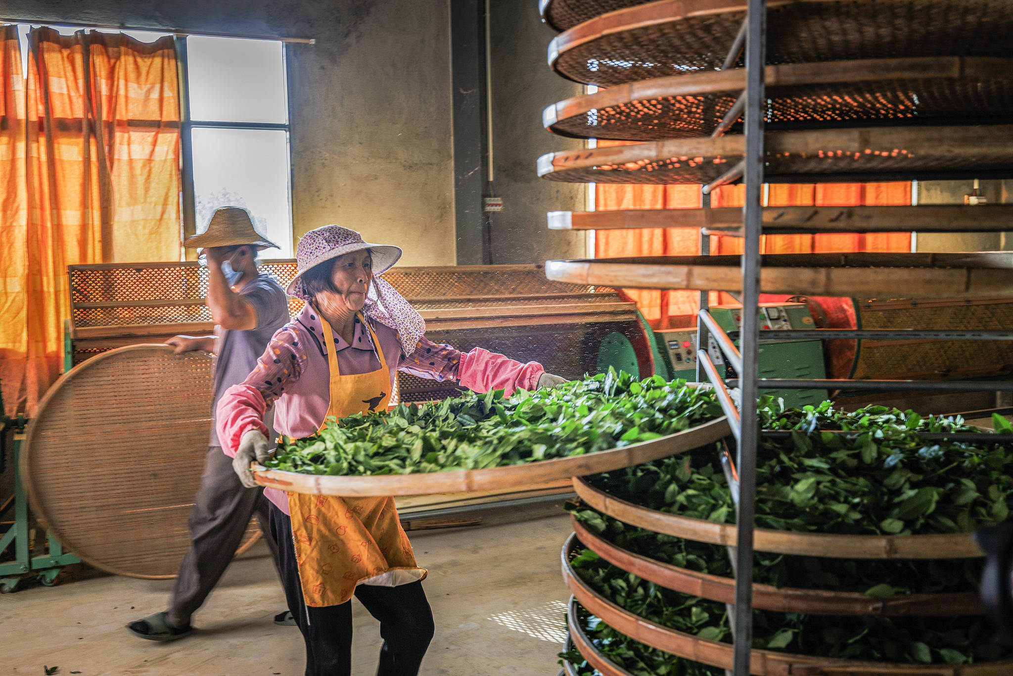 3年狂揽55亿、净赚5.8亿！福建豪门捧出一个IPO