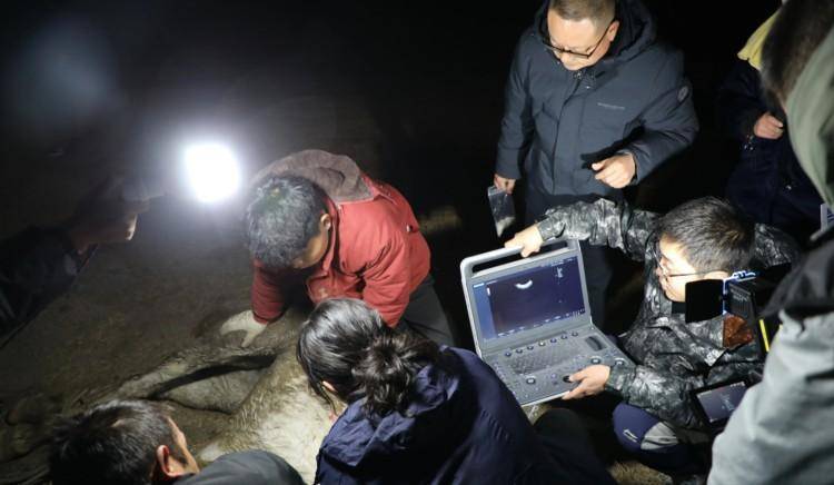 湖北仙桃将在汉江边为跳江救人“白龙”马建雕像，遗体已妥善处理