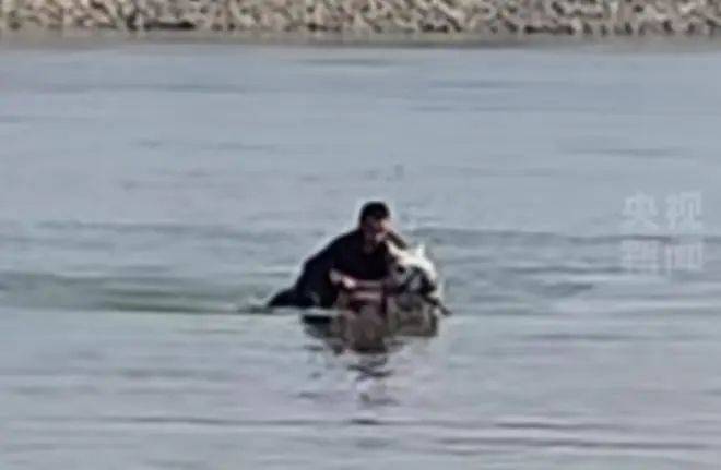 紧急求助！突然病危，已无法站立