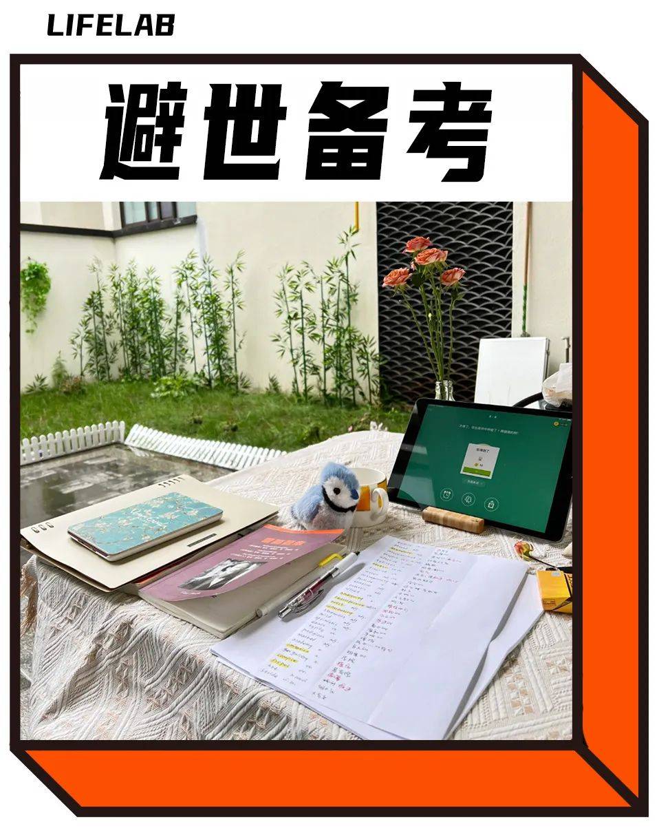 去大理考公考编的年轻人，有多想不开？