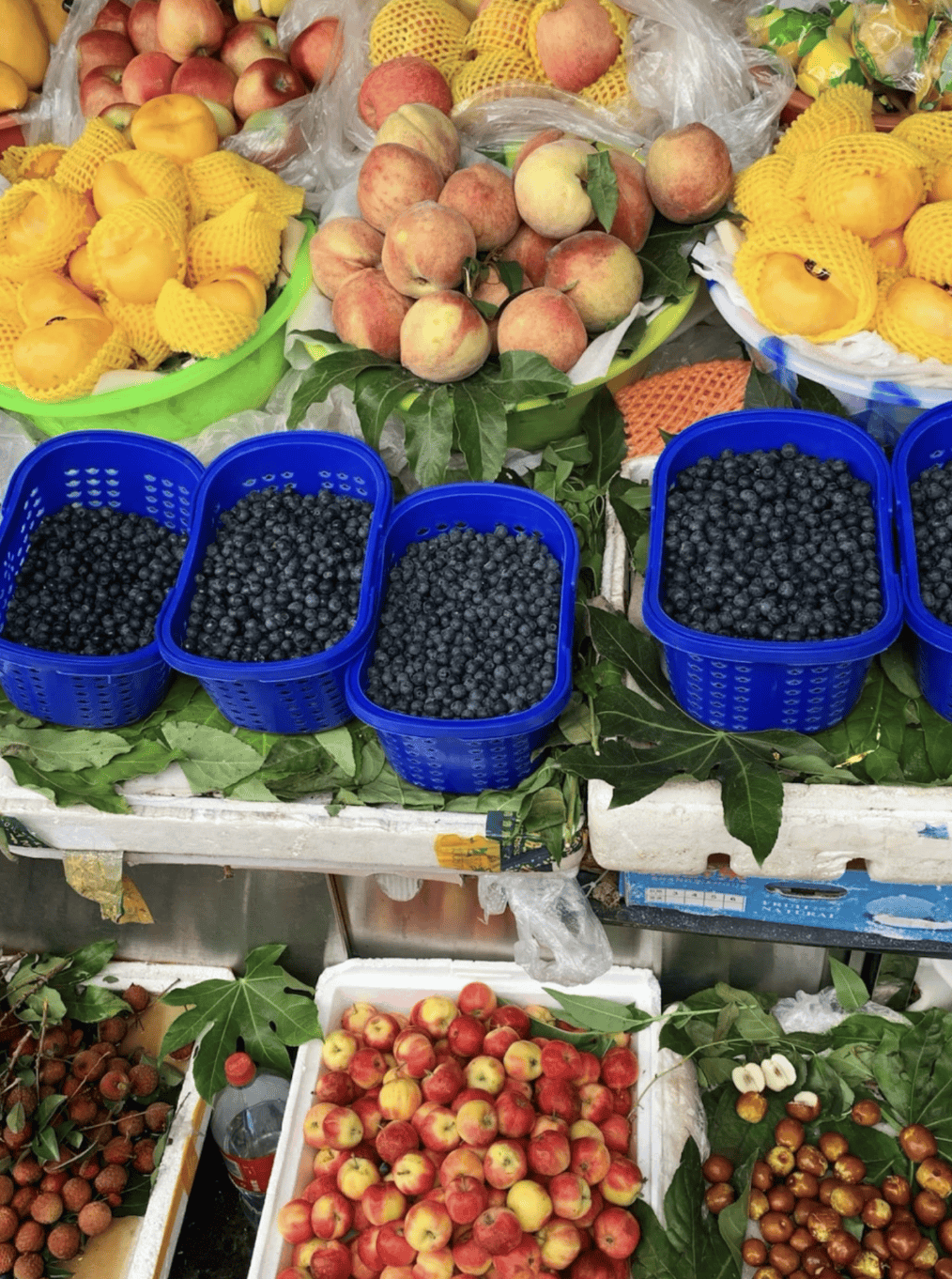 去大理考公考编的年轻人，有多想不开？