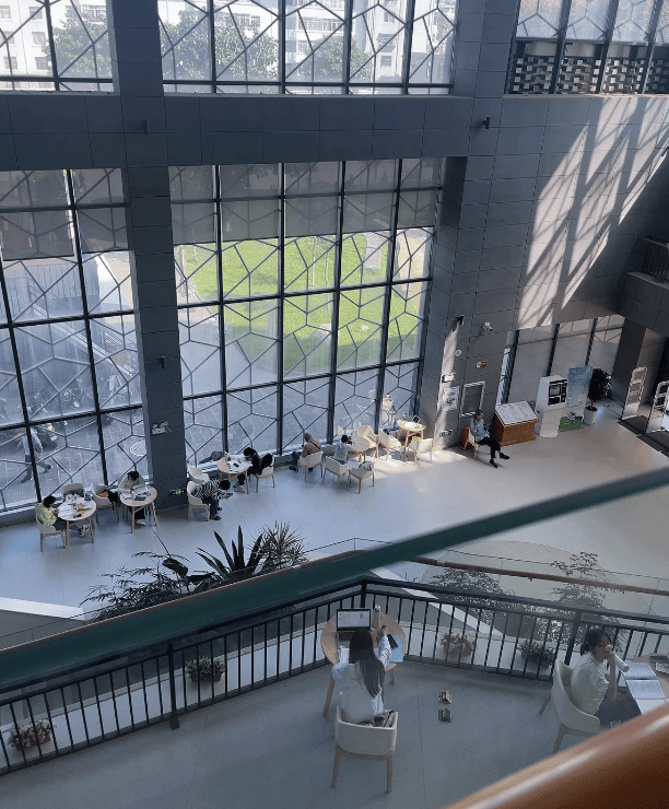 去大理考公考编的年轻人，有多想不开？