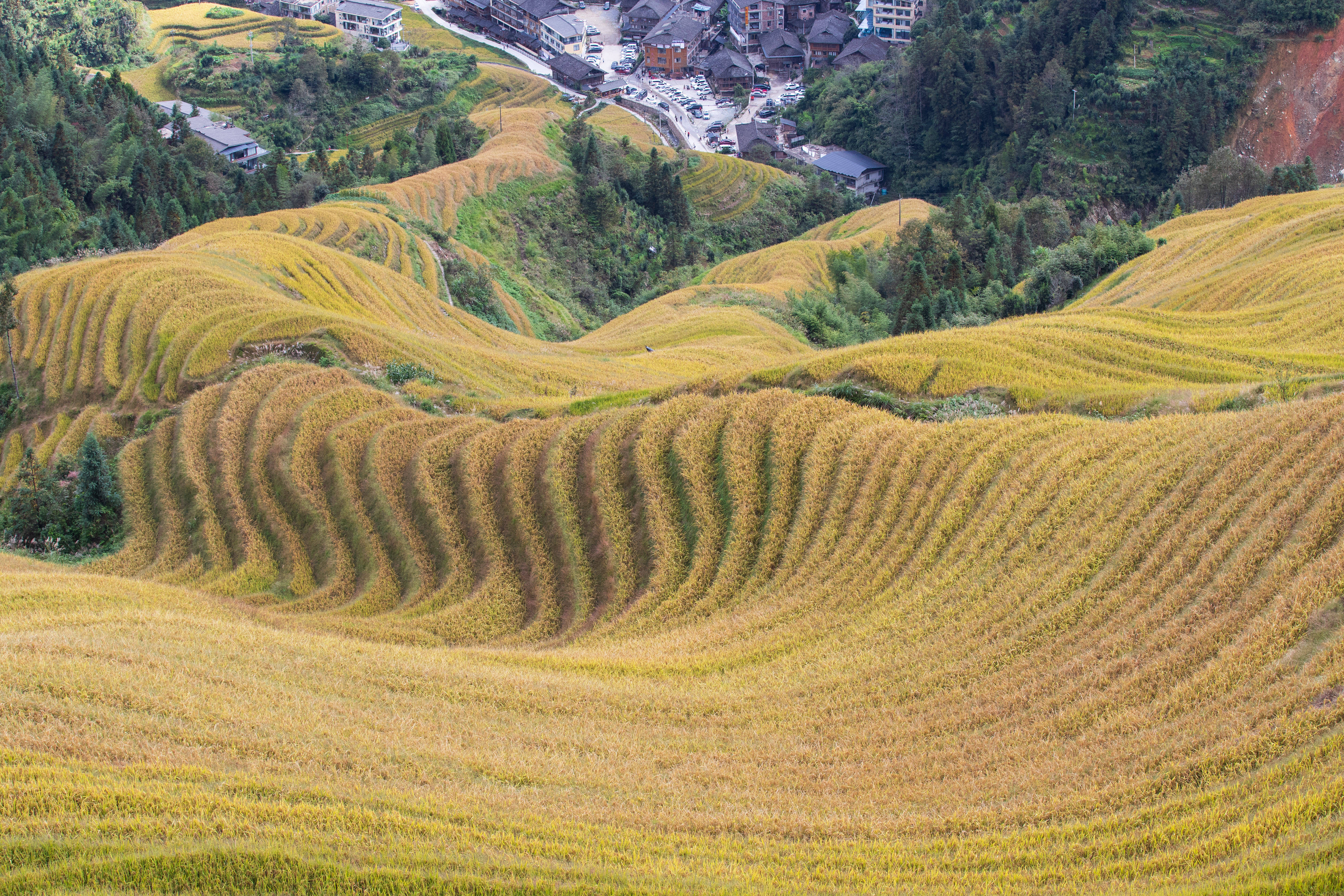 别样中国｜山水桂林，天下无双