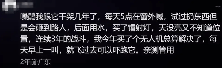 “周末想睡个懒觉都不行”，有多少深圳人被这种鸟吵到神经衰弱