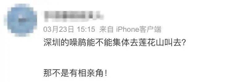 “周末想睡个懒觉都不行”，有多少深圳人被这种鸟吵到神经衰弱