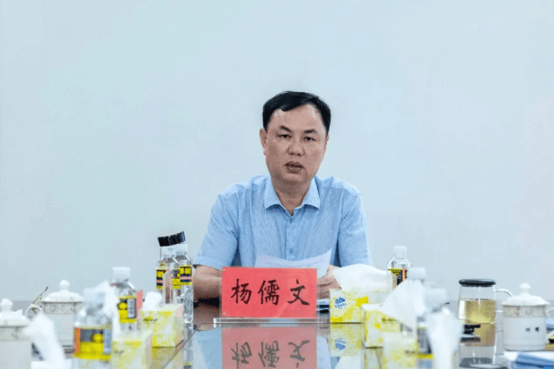 首次披露：杨儒文已被查