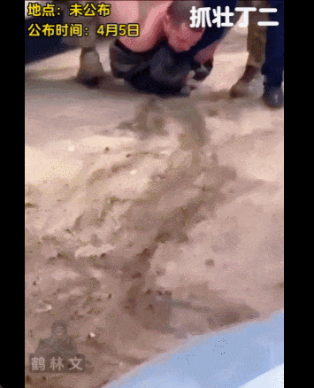 泽连斯基：乌军死亡10万，850万人外逃！乌克兰还能挤出多少兵？