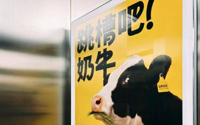 认养一头牛广告被指“嘲讽打工人”，公司回应