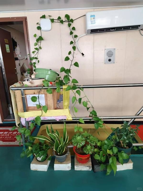 独家丨远洋渔船船长被害案嫌犯移送检方报捕，船上两段视频曝光