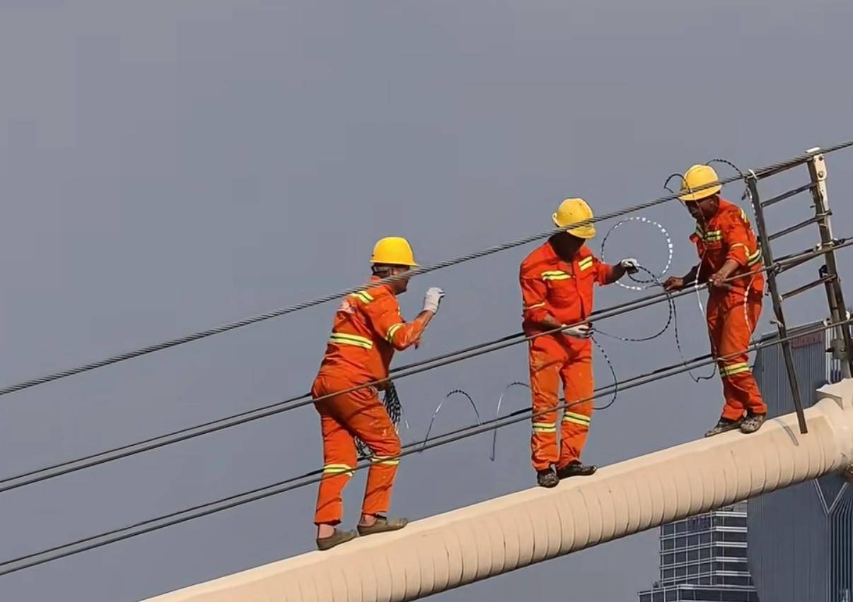广州猎德大桥缆索加装倒刺铁丝！刚有男子早高峰爬上桥顶