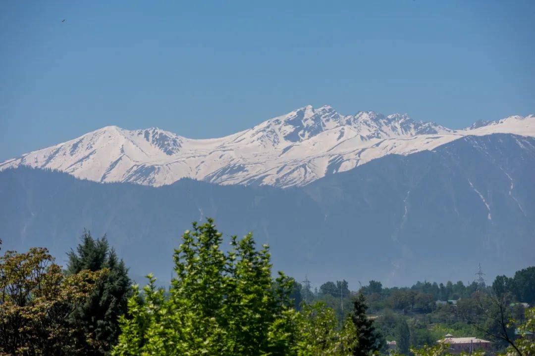 突发！巴基斯坦：击落印军无人机！印控克什米尔地区48处景点被关闭，巴防长：不会爆发核战！中方表态