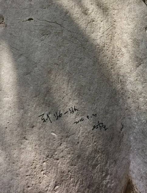 南京明孝陵石兽遭涂鸦“到此一游”，景区：已恢复原貌，警方在排查