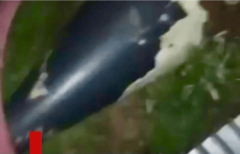 巴称击落多架印度“阵风”战机，专家：小规模冲突巴空军战力不落下风