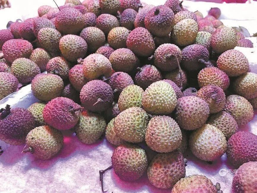 大跳水，暴跌40%！老板：一天一个价，估计还要跌