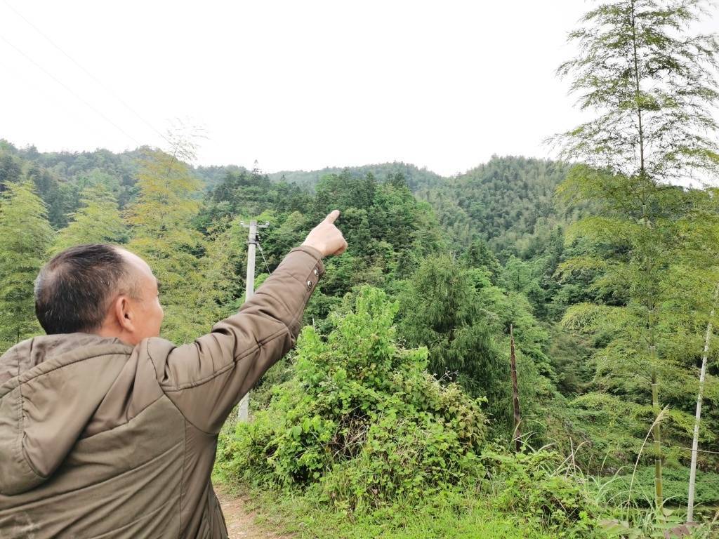 三名盗采者殒命雪峰山：千余废弃金矿洞的监管难题