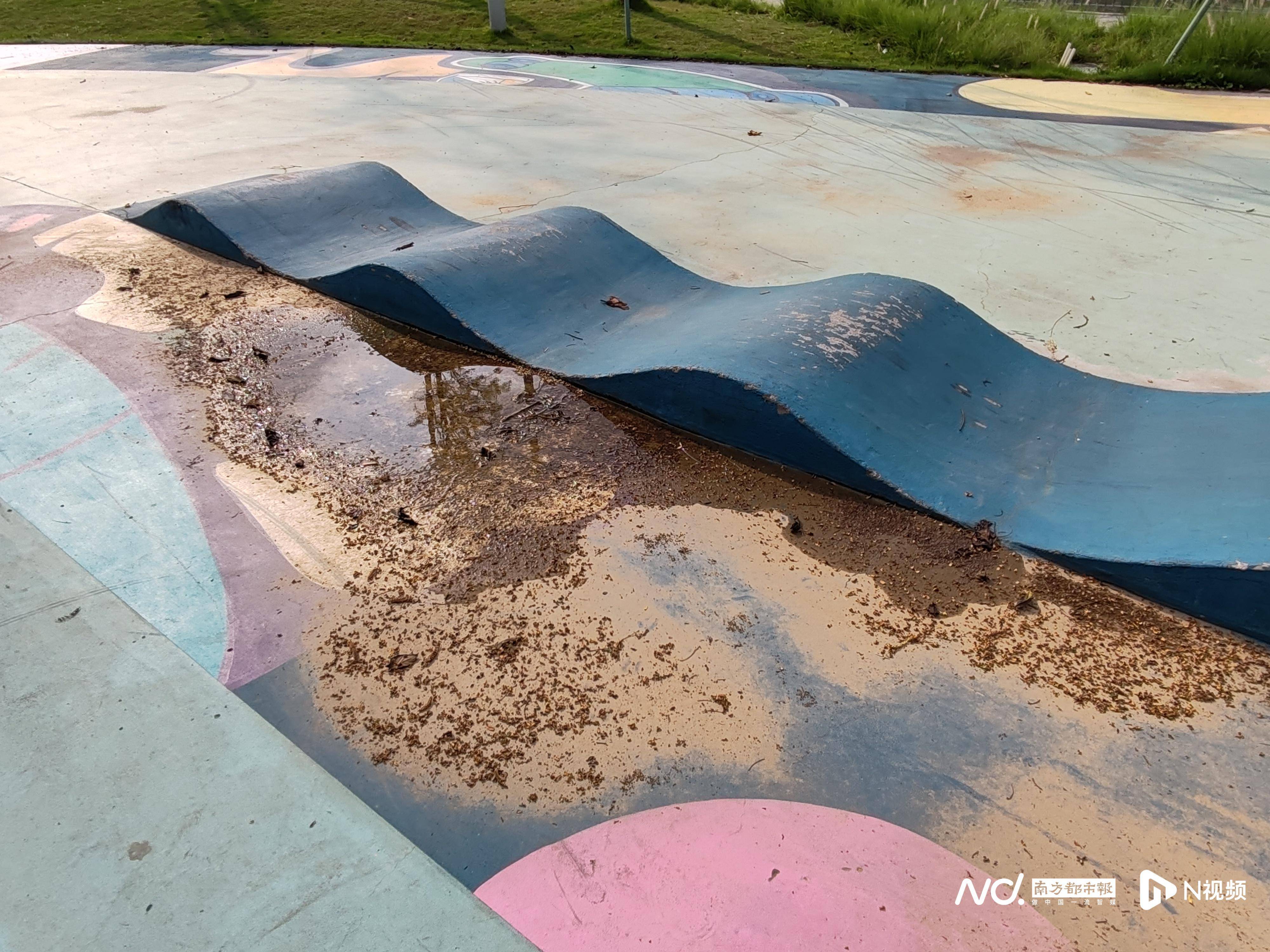 再拿地！比亚迪三度加码东莞，累计投资已超百亿｜东莞一周