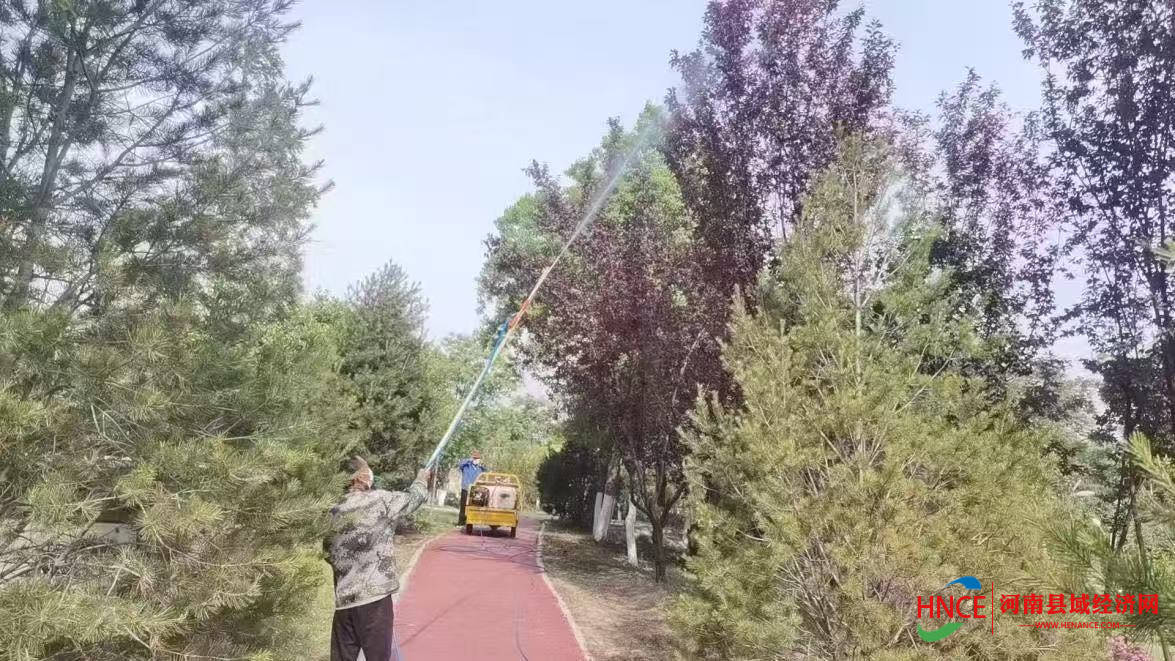 商丘市梁园区：全力做好病虫害防治 筑牢绿色生态“守护墙”