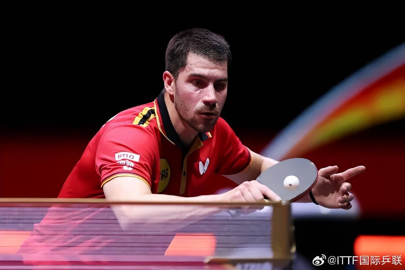 樊振东加盟后，队长弗朗西斯卡回应：像做梦一样，他坚定地选择我们，要与我们一起夺冠