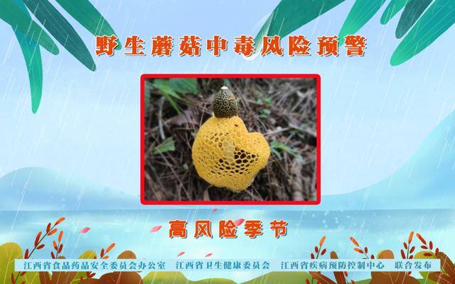 不采摘！不要买！不要吃！江西多部门联合发布风险预警