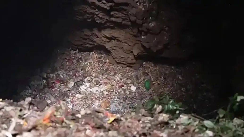 解放日报：回应社会关切何必总选在凌晨