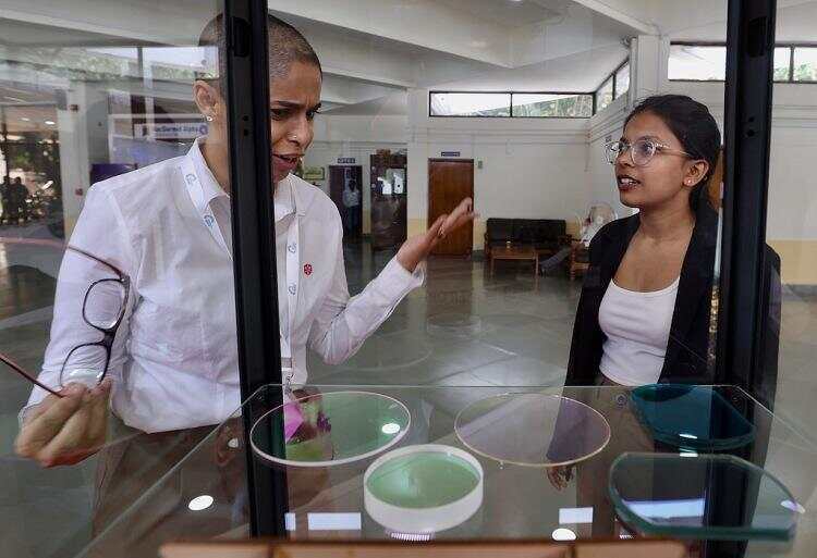 早安!世界丨日本执政联盟输掉参议院选举；特朗普政府开始审查马斯克的SpaceX公司