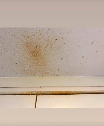 女演员竟用微波炉煮鸡蛋，结果鸡蛋在眼前爆炸，受伤后发声