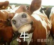 调侃“接受不了生女儿”被骂好几天，他自曝差点因此家庭破裂......