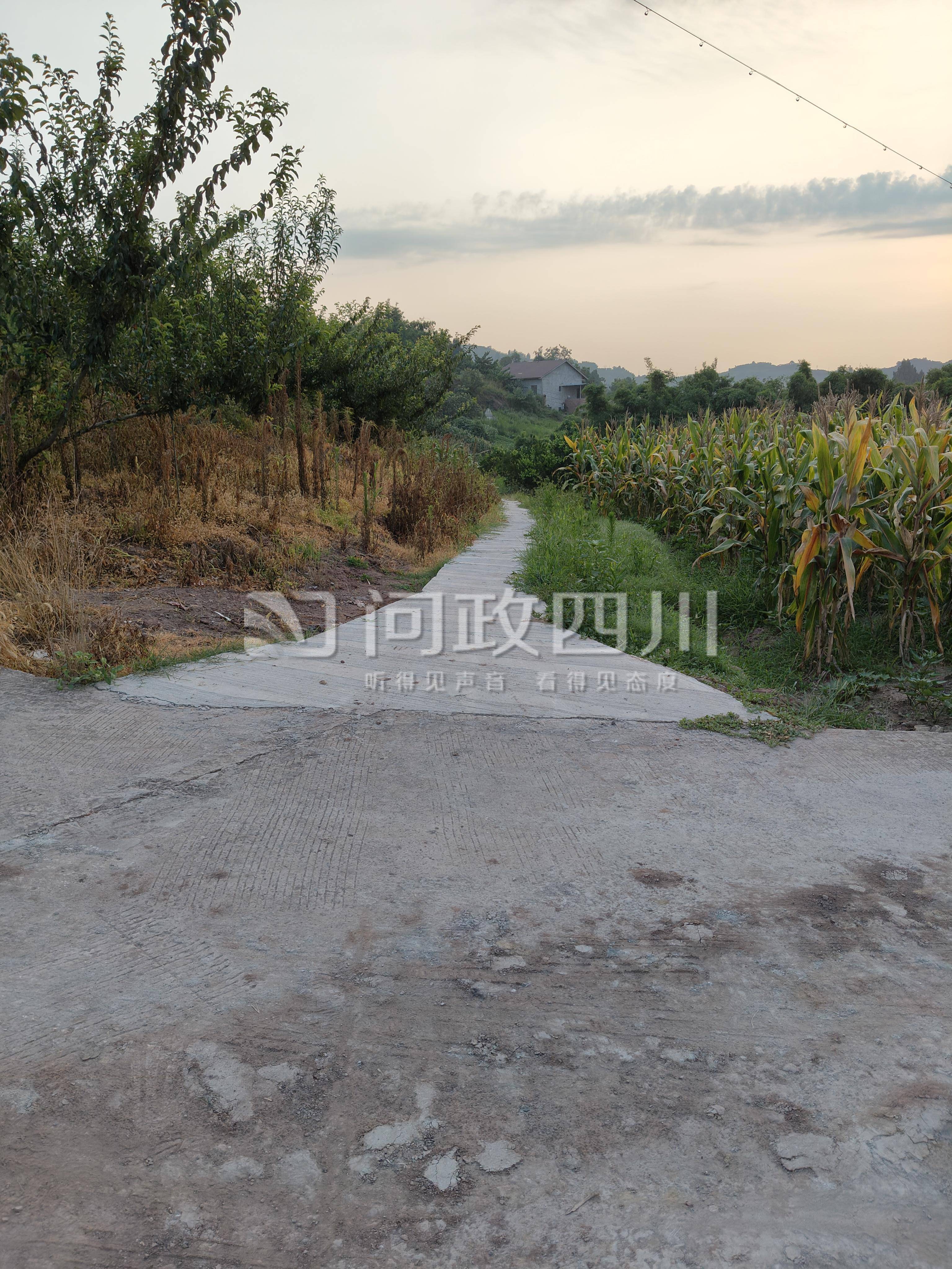 四川内江一村1.5米宽土路只硬化了0.8米？镇政府：原土路非全部都宽1.5米