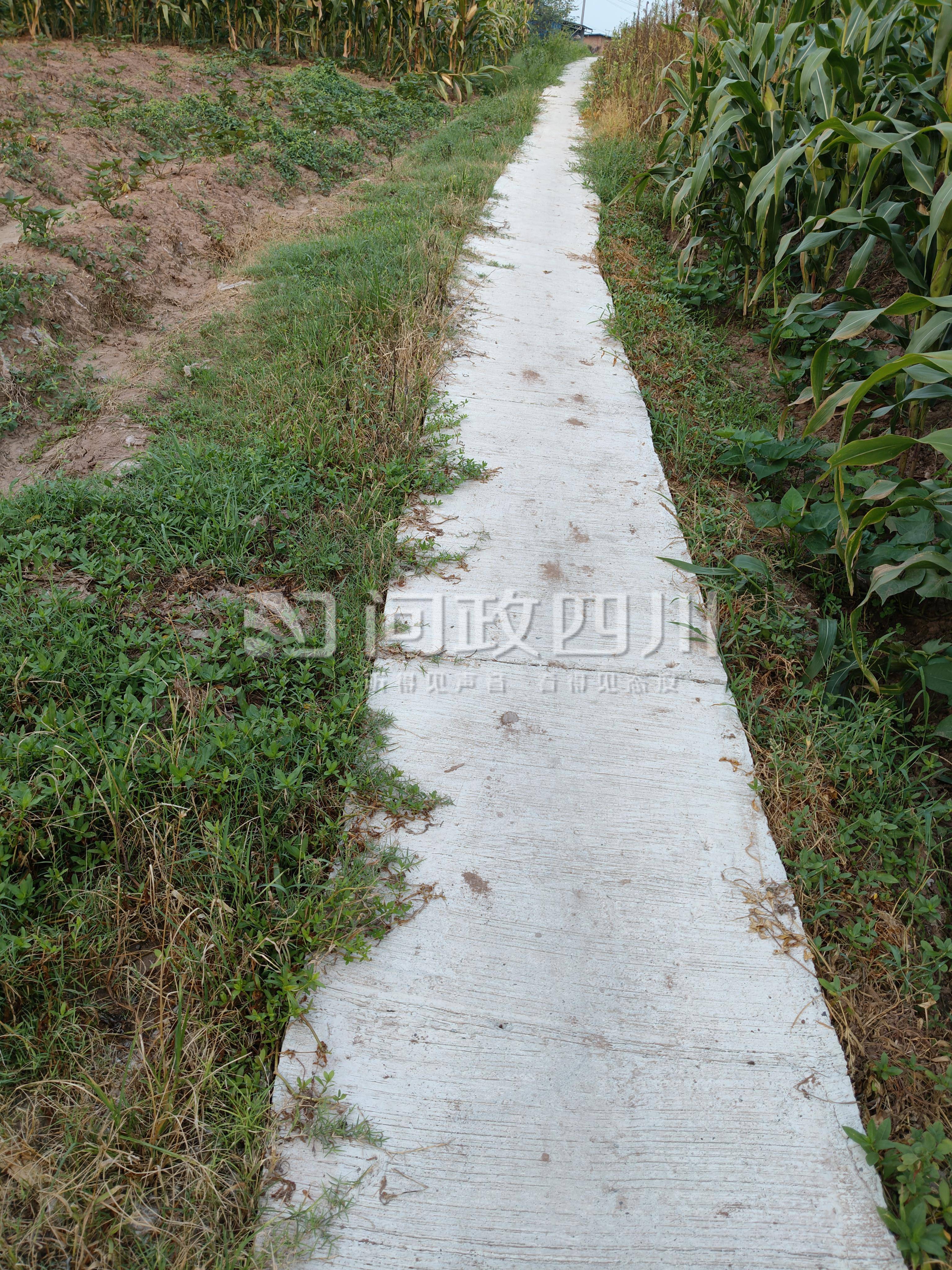 四川内江一村1.5米宽土路只硬化了0.8米？镇政府：原土路非全部都宽1.5米