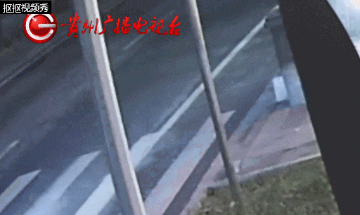 行人在斑马线上被SUV撞倒卷入车底，司机：我以为他们会让我……