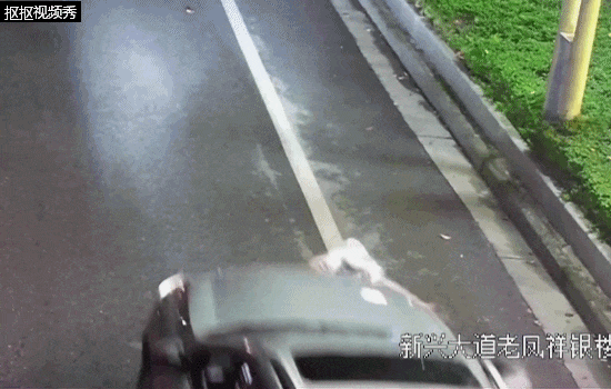 行人在斑马线上被SUV撞倒卷入车底，司机：我以为他们会让我……
