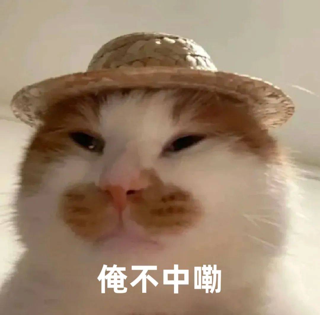 小布说天气 | 今年三伏为史上第二热，究竟还要热多久啊？