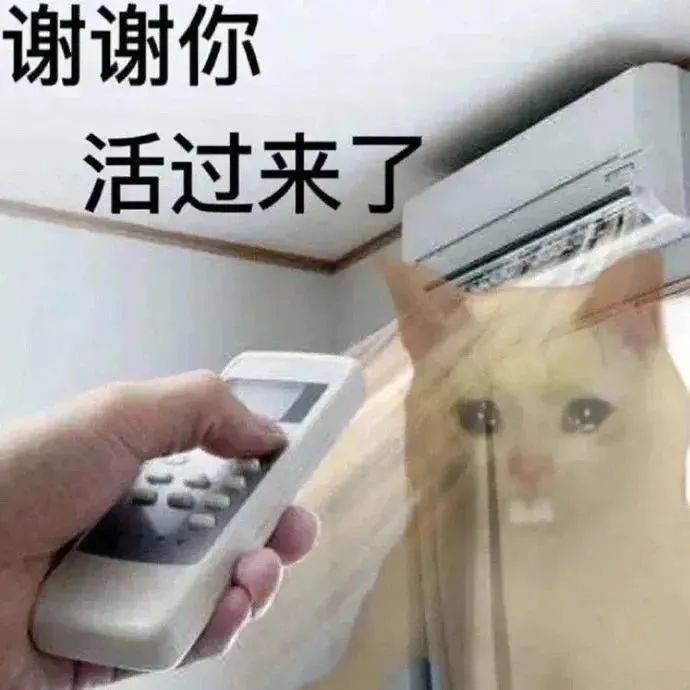 小布说天气 | 今年三伏为史上第二热，究竟还要热多久啊？