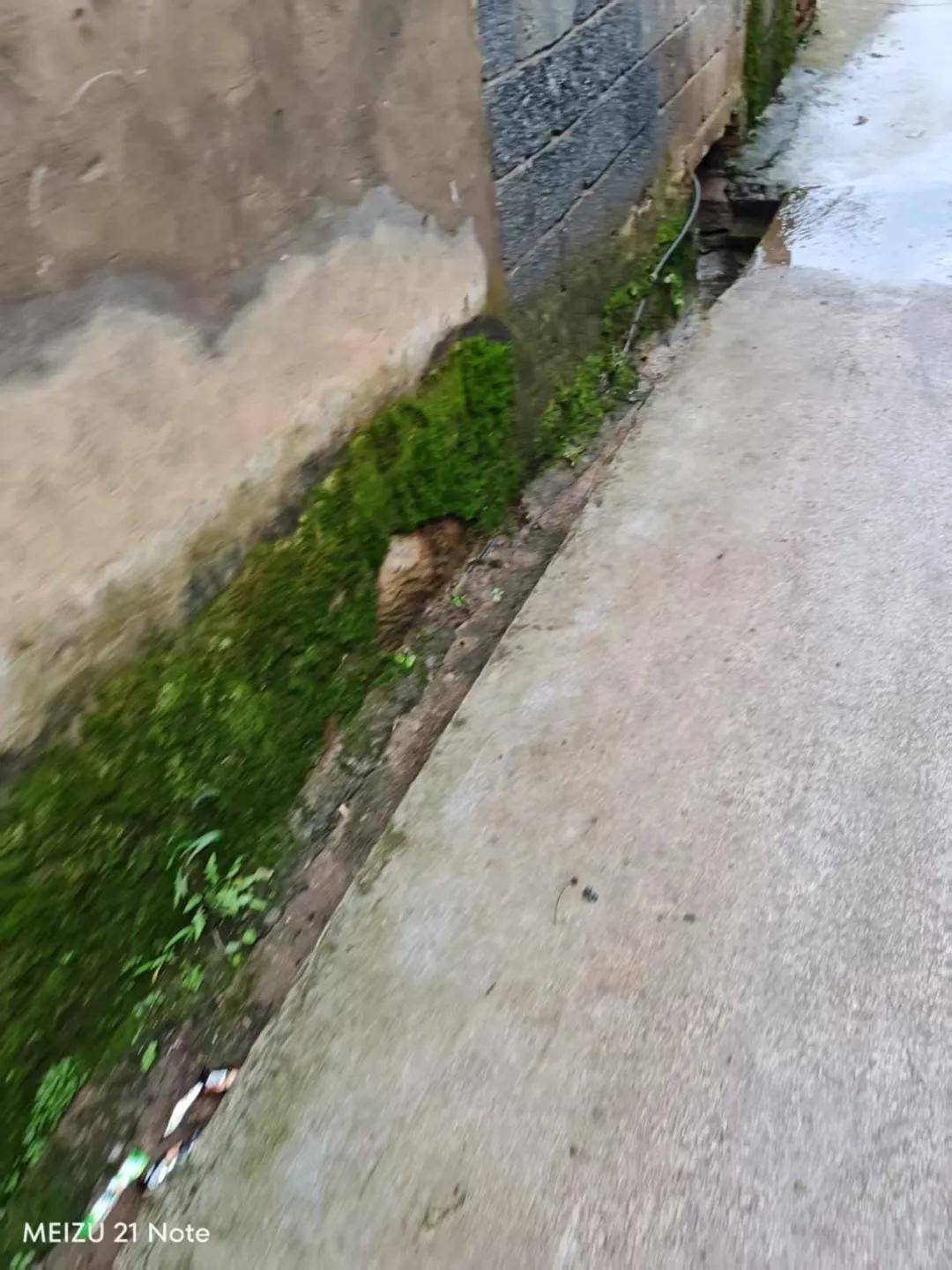 中学男孩杀害同班女生，或意图实施性侵