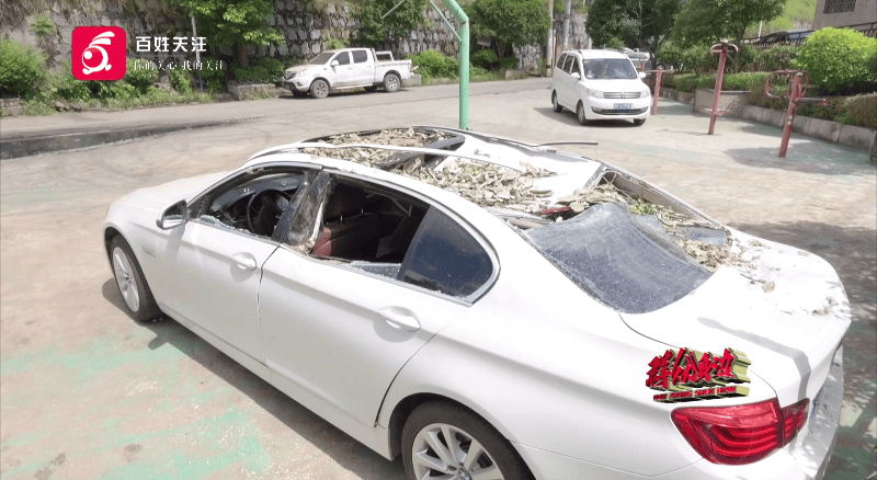 贵阳一700年古树砸扁“宝马”，现场惨不忍睹，林业局：车主他也有错