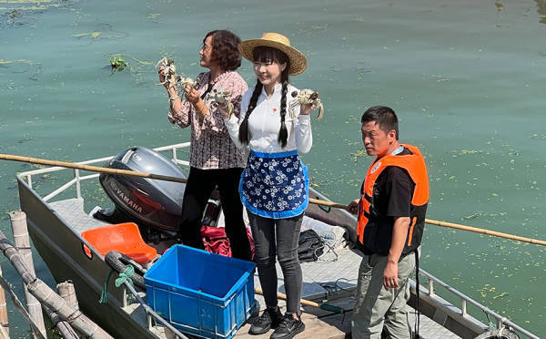 “洗澡蟹”“听涛蟹”阴影下，大闸蟹产业从产地之争迈向价值之战