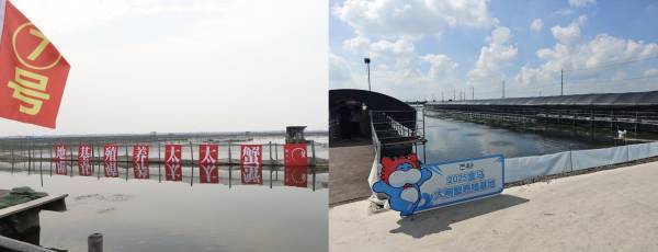 “洗澡蟹”“听涛蟹”阴影下，大闸蟹产业从产地之争迈向价值之战