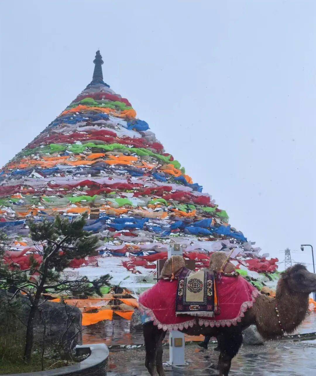 多地突降大雪！