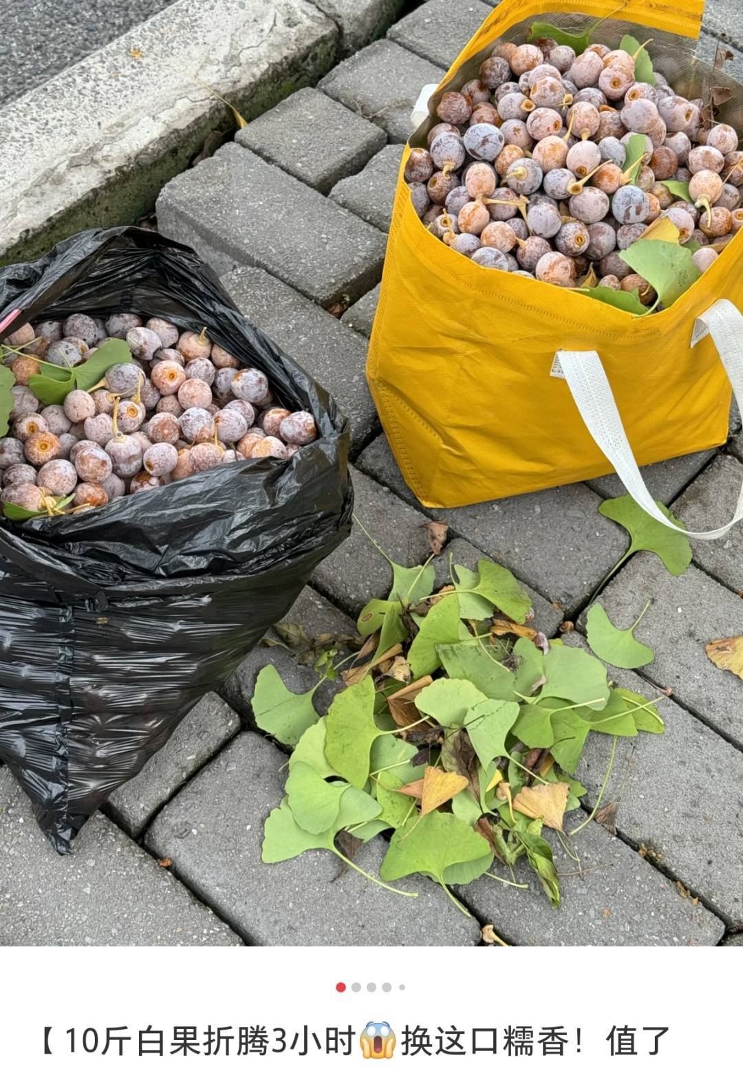 不要捡！不要吃！南京街头正出现