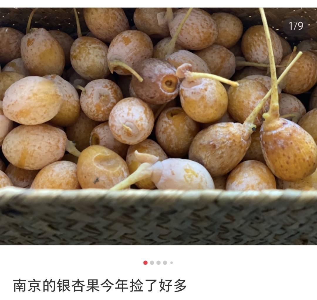 不要捡！不要吃！南京街头正出现