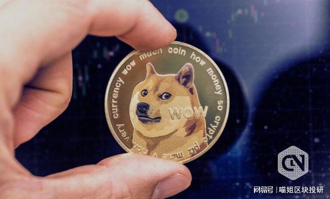 屎币(屎币未来发展前景)