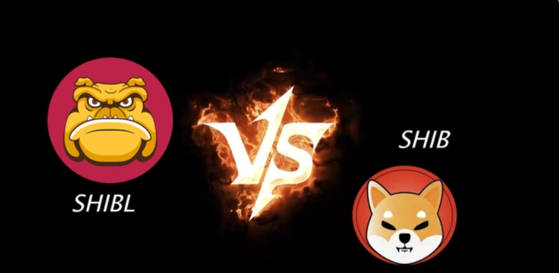 SHIB币最新消息(shib币最新消息分析)