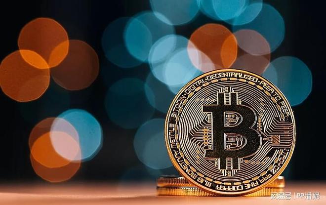 SHIB最新消息(shib币未来趋势最新消息)