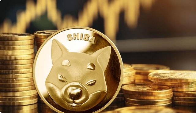 狗狗币价格(2018年狗狗币价格)